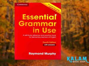 Essential Grammar In Use with answers 4th
