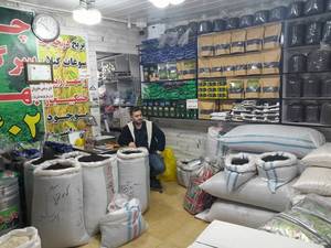 خرید و قیمت چای ممتاز در رشت