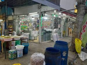 خرید و قیمت چای ممتاز در رشت