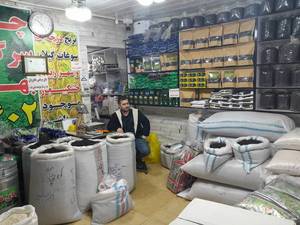 فروش چای ممتاز در رشت