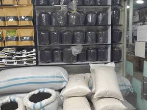 خرید چای ممتاز در رشت