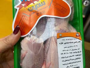  خرید بلدرچین تازه در انزلی