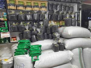 قیمت چای درجه یک لاهیجان