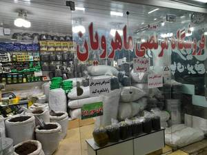 قیمت چای درجه یک لاهیجان