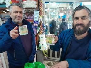 قیمت چای درجه یک لاهیجان