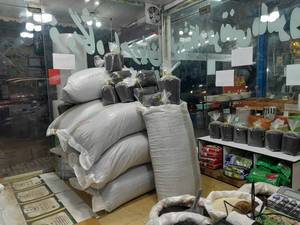 فروشگاه تخصصی چای در رشت