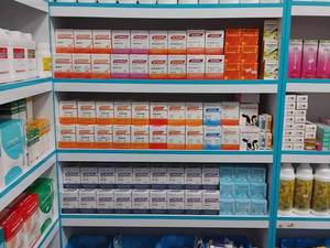 داروخانه دامپزشکی در آستانه اشرفیه