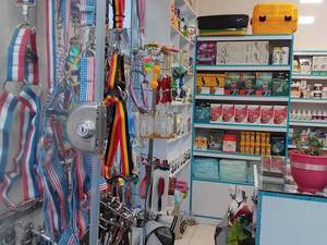 داروخانه دامپزشکی در آستانه اشرفیه