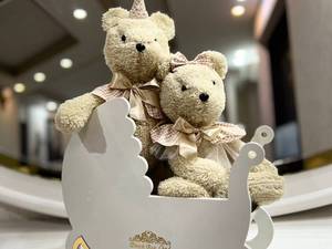 خرید عروسک تدی فرانسوی عمده ورامین