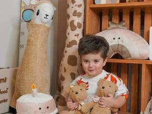 خرید عروسک تدی فرانسوی عمده ورامین