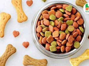 غذای خشک گربه رویال کنین دیابتیک 