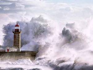 قیمت تلویزیون ال جی 43 اینچ در رشت