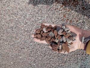 فروش پوکه معدنی برای بلوک‌سازی در شیراز