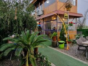 آلاچیق خانوادگی در آقا سید شریف رشت