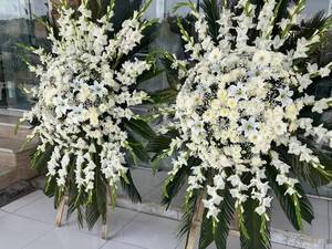 سفارش باکس گل نوزاد در گچساران