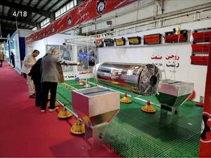 صادر تجهیزات مرغداری به کردستان عراق