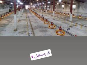 فروش لوازم تجهیزات مرغداری و کوشتی در کوچصفهان
