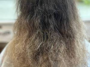 ترمیم لایت موی خشک در انزلی