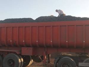 تولید و پخش پوکه معدنی در  ماهشهر