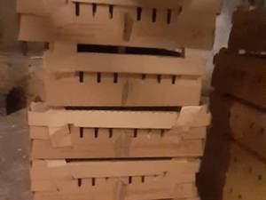 فروش مستقیم بوقلمون از مزرعه در لنگرود