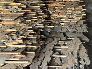 قیمت چوب زیتون رودبار