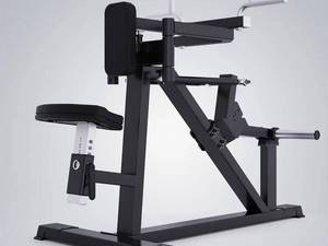 خرید دستگاه فلای بک موازی و افقی DHZ در بیرجند