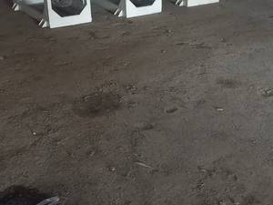 خرید دستگاه شالیکوبی در مازندران  