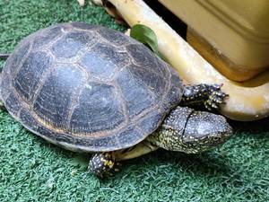 مهدکودک با برنامه‌های آموزشی متنوع در میرداماد