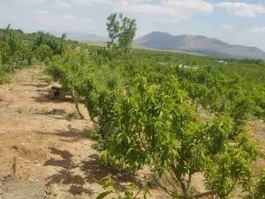 فروش زمین