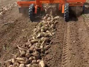 قیمت دستگاه چغندر کن شش ردیفه در شهرکرد