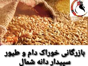 خوراک طیور با قیمت مناسب در ساری