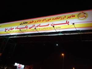 فروش عمده خوراک دام با ارسال رایگان	