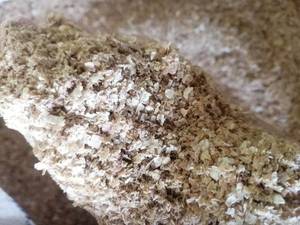 فروش عمده خوراک گاو در رشت