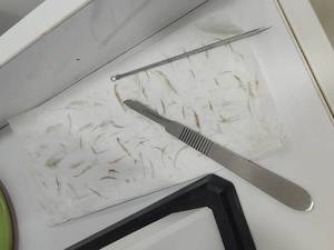 راز پوست صاف کره ای ها در اهواز 