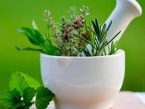 دوره گیاهان دارویی در رشت