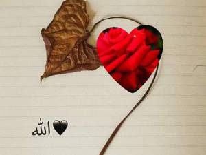 مراکز علمی اهل سنت در زاهدان