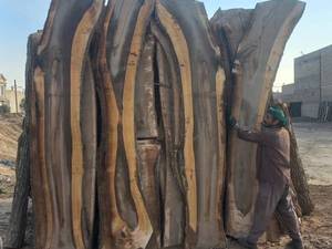 کارخانه خرید چوب در ساوه