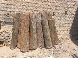 کارخانه خرید چوب در ساوه