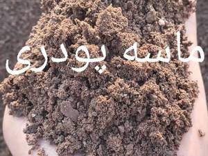 فروش پوکه معدنی قروه در رشت