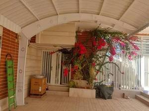 قیمت ساخت سایبان تک‌پایه در کرمان