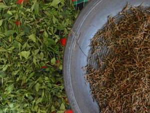 قیمت چای خشک دست ساز در لاهیجان