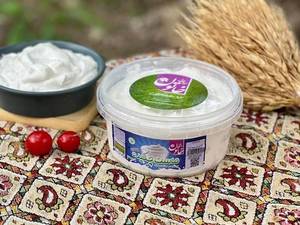 خرید ماست چکیده ارگانیک در رشت