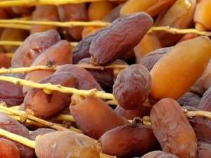 خرید رطب کبکاب اصل جنوب در رشت