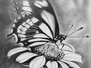 آموزش طراحی با مداد از صفر تا صد در یافت آباد تهران