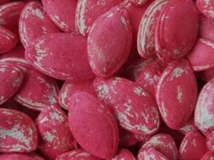 بهترین بذر کدو آجیلی گوشتی در خوی