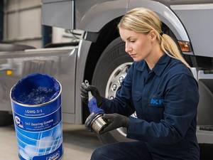 گریس نسوز SKF مدل LGWG 3/1 وزن یک کیلوگرم