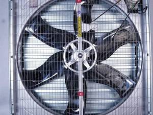 خرید و قیمت هواکش مرغداری در گلستان