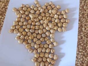 قیمت نخودچی گل درجه دو در سنندج