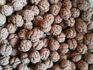 خرید نخودچی شکلاتی در همدان