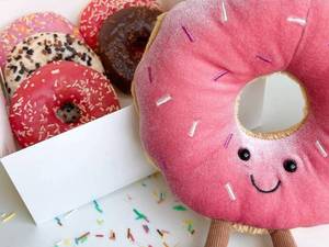 خرید عروسک طرح دونات با کیفیت در کرج